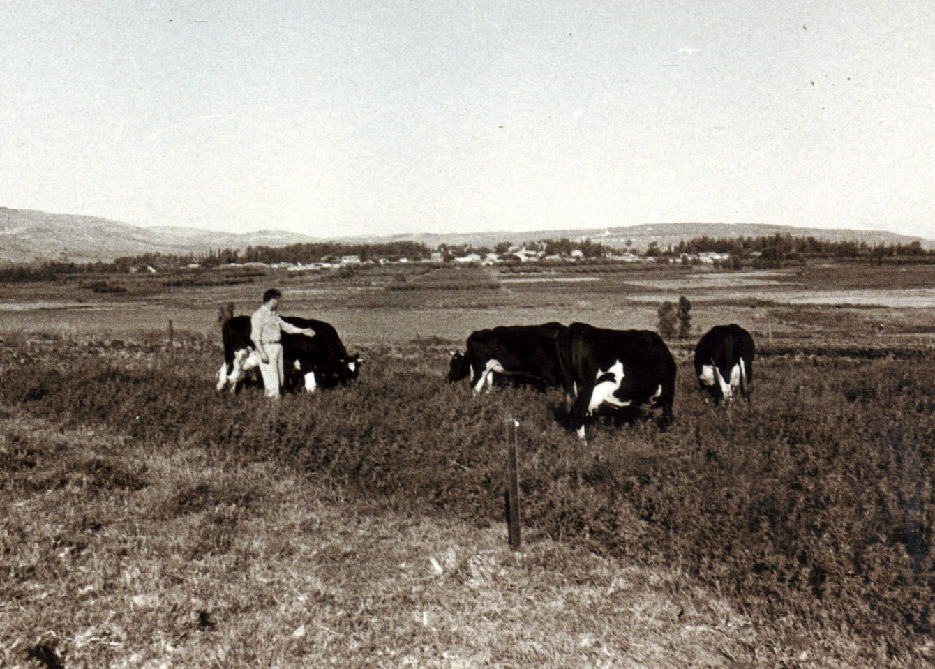 26 - Copy