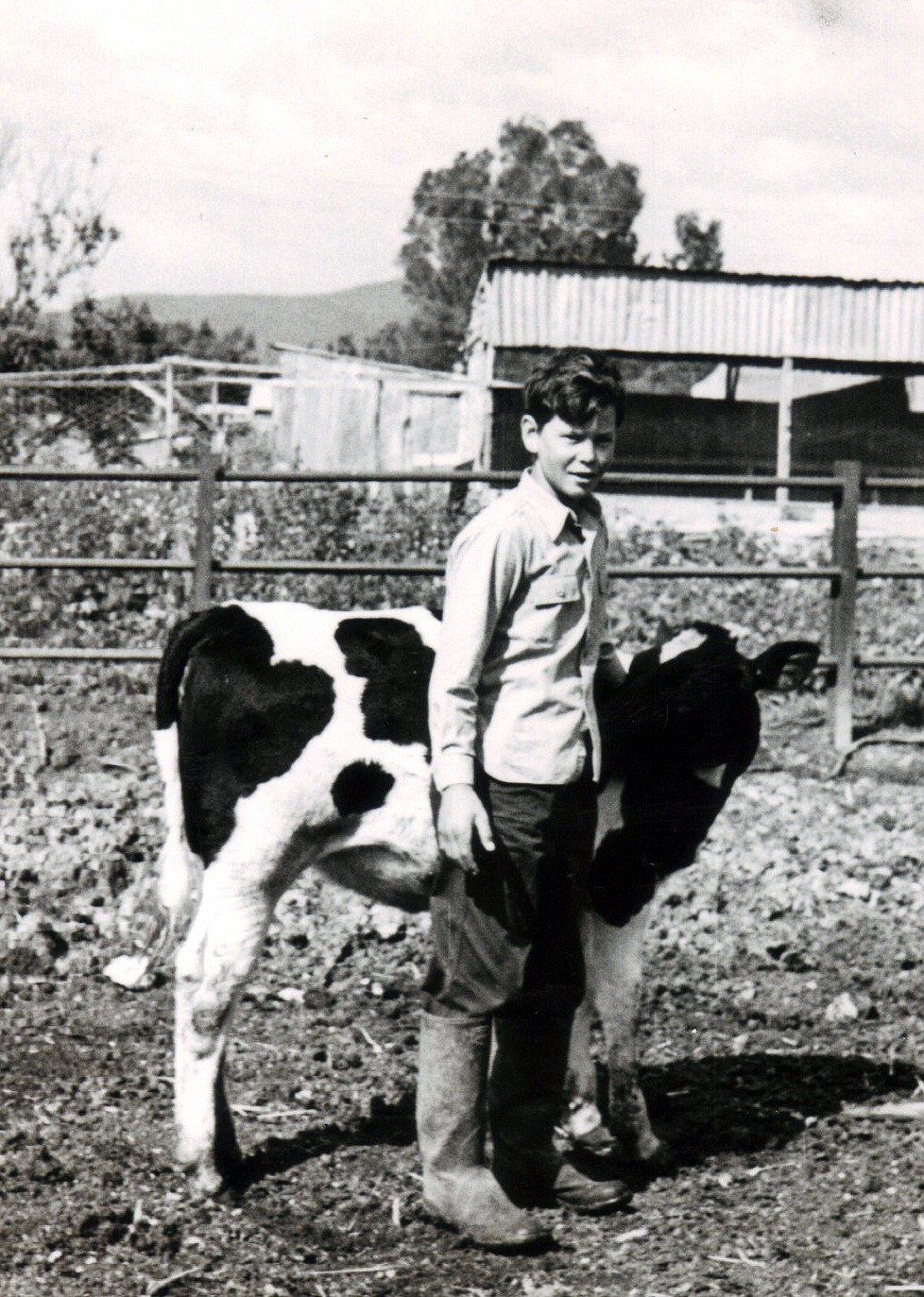29